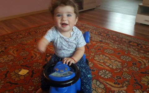 DAVID - Aripi pentru piticot