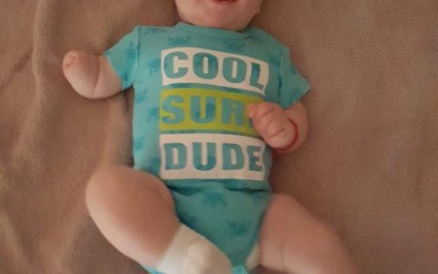 David - Aripi pentru piticot