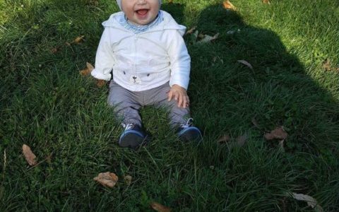 David - Aripi pentru piticot