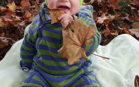 David - Aripi pentru piticot